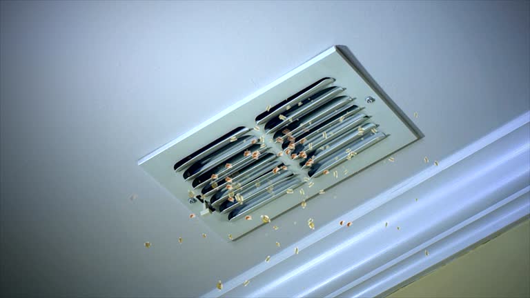Best Affordable Air Duct Cleaning  in Madison, IL