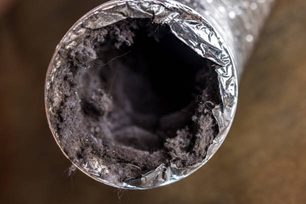 Best Air Vent Cleaning Services  in Madison, IL