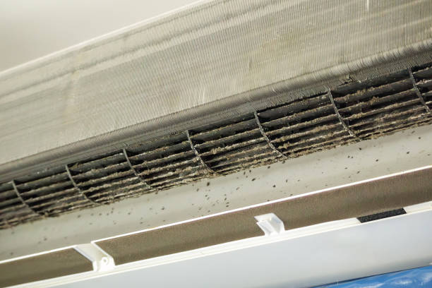Best Affordable Duct Cleaning Services  in Madison, IL